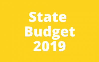 State Budget submission 2019